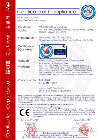VALTECCN VALVE: CE Certified