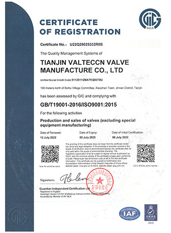 VALTECCN VALVE: ISO 9001:2015 Certified