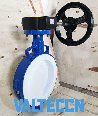 PTFE Seat Butterfly Valve with Gearbox