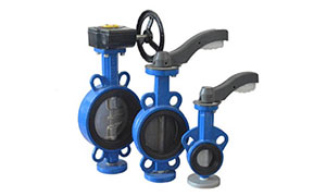 Advantages and disadvantages of choosing a butterfly valve