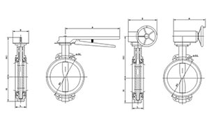 Structural composition of butterfly valve