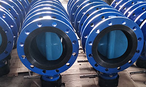 Flanged Butterfly Valve Features and Applications
