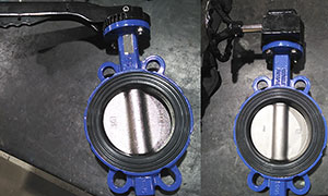 Pinless Wafer Butterfly Valves Export to European
