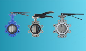What is a lug type butterfly valve