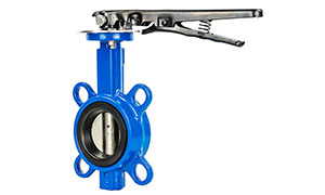 Butterfly valve connection method 1-wafer type butterfly valve