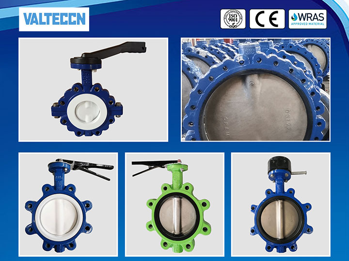 VALTECN butterfly valve supplier