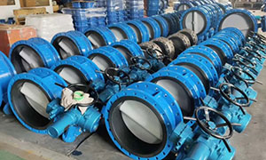 Butterfly valve selection needs to consider those factors