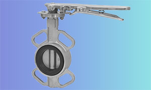 stainless steel wafer type butterfly valve