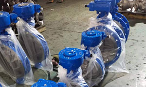  A batch of Triple Eccentric Flange Butterfly Valve Sale to Europe