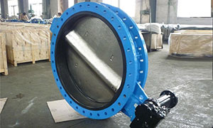 1000PCS U Type Butterfly Valves are Sale to Europe