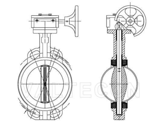 Wafer type concentric butterfly valve