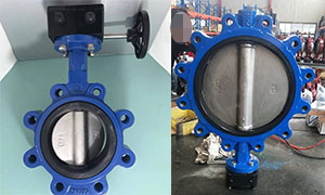 Ductile Iron Lug Butterfly Valve with Worm Gear Sale to Malaysia