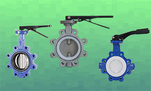 What is lug butterfly valve, lug butterfly valve image