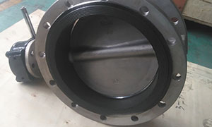 Stainless Steel Flange Butterfly Valve Export to Italy