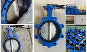 PN10/PN16 Concentric Butterfly Valves for sale to South Africa