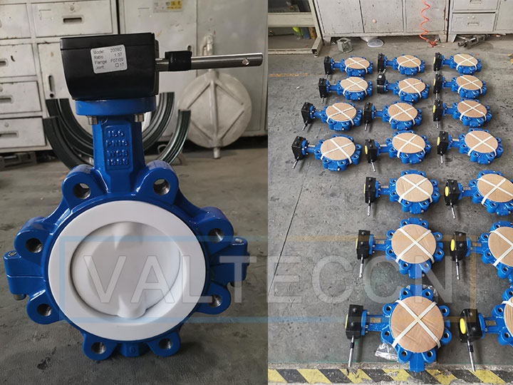 PTFE Full Lined Butterfly Valve Split Body with Worm Gear