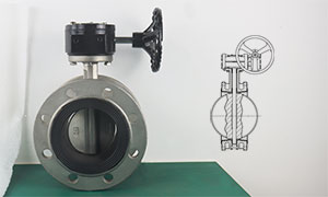 Double Flanged Butterfly Valve Manufacturers