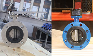 Worm Gear Flange Butterfly Valve Suppliers and Manufacturers