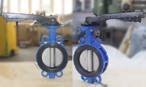 5 inch butterfly valve wafer type lever operated picture, price, feature, butterfly valve supliers and manufacturer