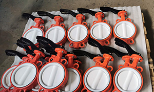2 Inch, 4 Inch, 6 Inch PTFE Lined Butterfly Valve Sold to Vietnam