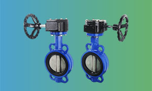 DN100 PN16 Wafer Butterfly Valve with Worm Gear for Sale, Butterfly Valve Supplier and Manufacturer
