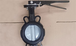 Nylon Coated Disc Butterfly Valve Picture, Price, Applicable, Butterfly Valve Supplier and Manufacturer