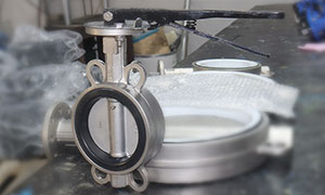 Stainless Steel ANSI 150 lb. Wafer Butterfly Valve, PN16 Butterfly Valve Supplier and Manufacturer
