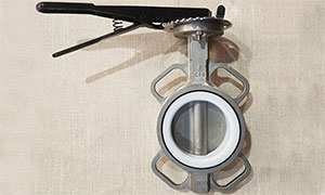 Stainless Steel Wafer Butterfly Valve Pictures, Prices, Features, Butterfly Valve Supplier and Manufacturer