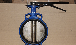 DN200(8 Inch) Wafer Butterfly Valve for Sale