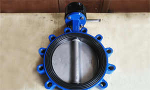 ANSI 150lb. Butterfly Valve with CF8 Disc, ANSI Butterfly Valve Supplier and Manufacturer