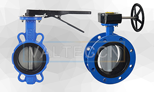 What is a centerline butterfly valve?