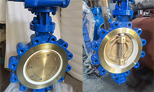 Class 150LB aluminum bronze butterfly valve exported to Europe, used in seawater treatment projects
