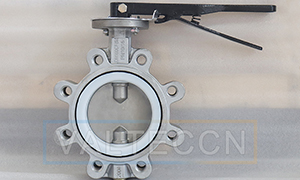 DN100(4 inch) CF8M Stainless Steel Lug Butterfly Valve