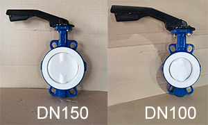 DN100(4 Inch), DN150(6 Inchi) PTFE Lined Butterfly Valve sold to South Africa