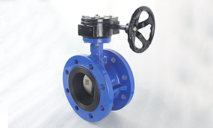 DN100(4 Inch) Double Flange Butterfly Valve with Worm Gear