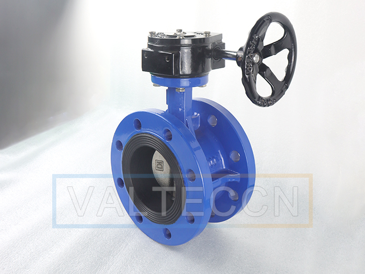DN100(4 Inch) Double Flange Butterfly Valve with Worm Gear