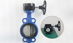 DN100(4 inch) Ductile Iron Butterfly Valve with Worm Gear for Sale
