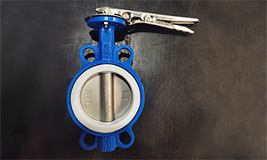 DN125(6 Inch) PTFE Seated WCB Butterfly Valve for Sale