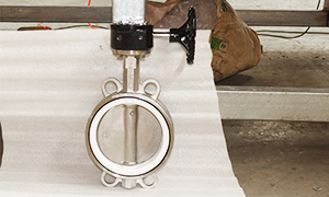 DN150(6 inch) PTFE Seated Butterfly Valve with Worm Gear