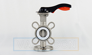 DN25/32 (1/1.2inch) PTFE Seat Butterfly Valve for Sale