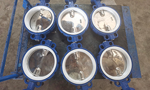 DN250(10 inch) PTFE Seat Butterfly Valves Exported to Hong Kong