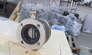 DN80(3 Inch) CF8M ANSI 150lb. Flanged Butterfly Valve with Lever Operator Price, Catalog, Image
