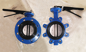 EPDM Seat butterfly valve PN16 Sold to Dubai