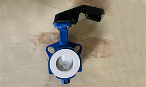 Full PTFE Lined Butterfly Valve Split Body Export To South Africa