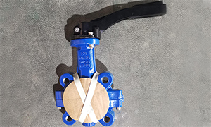 Full PTFE Lined Lug Type Split Body Butterfly Valve Export to Italy