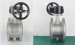 SS Flange Type Butterfly Valve with Worm Gear PN16 Price, Suppliers & Manufacturers