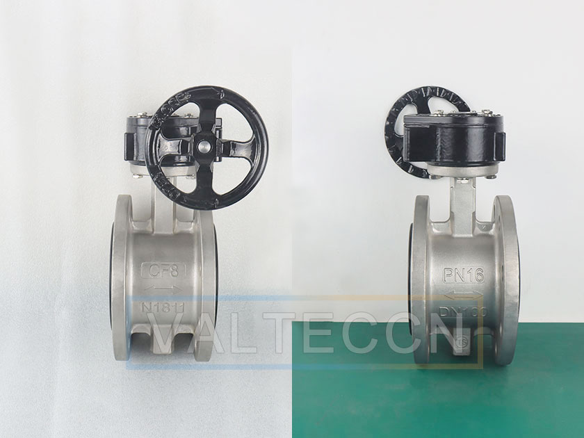 DN100(4 Inch) SS Flange Type Butterfly Valve with Worm Gear PN16 Image