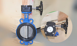 DN125(5 Inch) Worm Gear Operated Wafer Butterfly Valve Supplier and Manufacturer