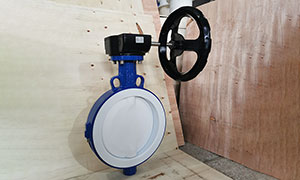 DN250(10 Inch) WCB PTFE Lined Butterfly Valve Supplier and Manufacturer