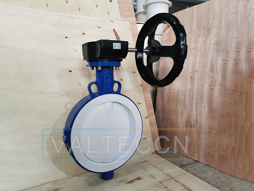 DN250(10 Inch) WCB PTFE Lined Butterfly Valve with Worm Gear